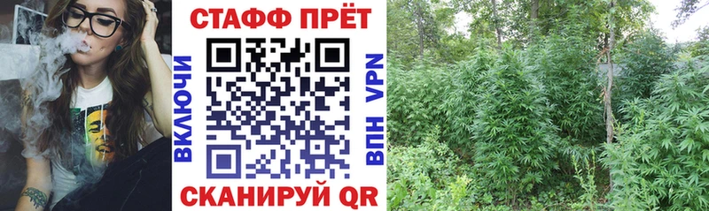 Виды наркотиков купить Закаменск ГАШ Бошки Шишки КЕТАМИН Меф мяу мяу
