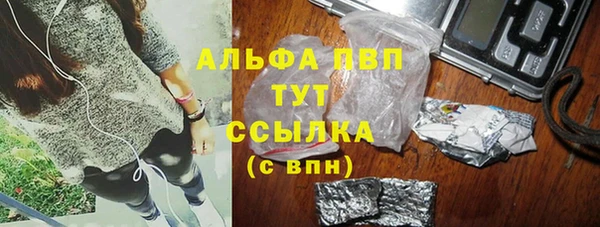 гидра Алексин