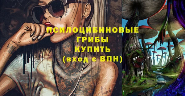 гидра Алексин