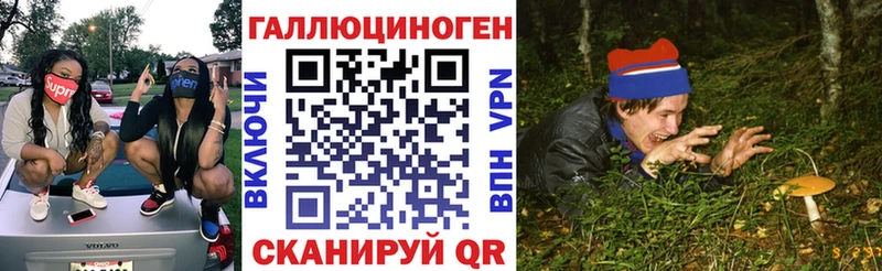 маркетплейс наркотические препараты  Закаменск  Галлюциногенные грибы Magic Shrooms 